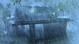 Great Sleep with Heavy Rain amp Loud Thunder Dark Stormy Night Wind on Fragile Tin Roof in Rainforest [upl. by Valaria]