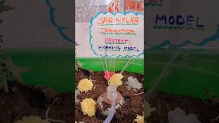 Sprinkler Irrigation👏🧿project workingmodel science agriculture music edmshorts subscribe [upl. by Wei977]