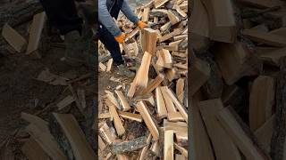 I chopping an oak log🪓🪵 woodworking [upl. by Esiole]