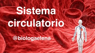 Sistema Circulatorio  Conceptos generales  Biología [upl. by Yenahteb]