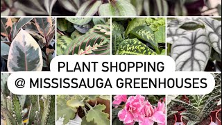 Plant Shopping  Mississauga Greenhouses vlogmas [upl. by Josi]