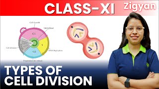 Cell cycle and cell division  Lecture  3  Types of cell division  Mitosis  Meiosis  NEET [upl. by Abla]