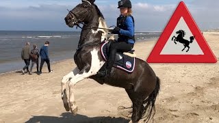 STRANDRIT MET STEIGEREND PAARD  GOPRO LEKKER CROSSEN  Paardrijden met Plezier [upl. by Alyar713]