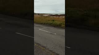 Want to Hear Locals Speak ScotsGaelic at a Bus Stop Click on this and turn volume all the way up [upl. by Howey]