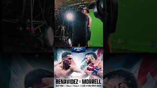 David Benavidez Vs Davis Morrell Feb 1st boxing BenavidezMorrell [upl. by Armmat406]