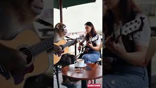 Viral Monyet Main Gitar di Cafe Sama Wanita Cantik empudstudioai empudstudiogrup shorts [upl. by Animehliw]