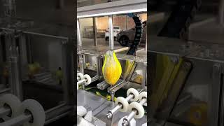 Melon and fruit peeling machine [upl. by Vastah]