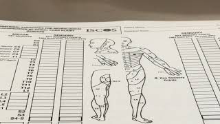 Assessment Guides Dermatomes [upl. by Dnomyar]