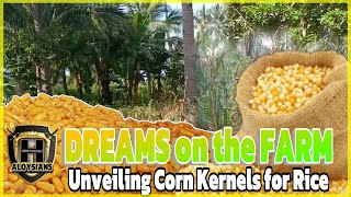 EXPLORING OUR FARM Corn 🌽 Coconuts 🌴 and Dreams  FAMILY FARM [upl. by Gravante]