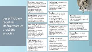 Les registres ou tonalités littéraires et les procédés associés  8 minutes pour tout comprendre [upl. by Duwalt12]