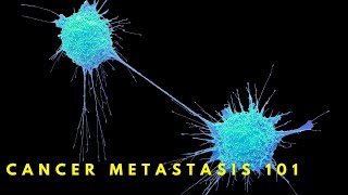 Why Cancer Spreads Metastasis Explained [upl. by Enyrb]