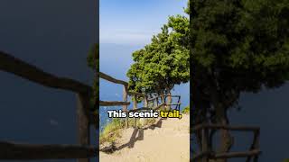 Most Picturesque Amalfi Coast Positano Italy tourism travelvlog travel holiday bucketlist [upl. by Cornish215]