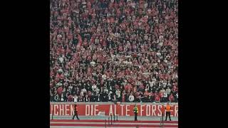 Union Berlin fans quotDie Eisernenquot The Irons [upl. by Ok719]