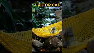 Cat Tv Cat Sounds Birds Chirping Running Water  Bird TV For Cát 4K [upl. by Kaine]