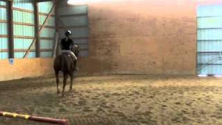 The Basics of Cantering [upl. by Antonella]