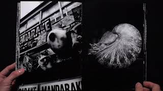 森山大道 Daido Moriyama モノクローム MONOCHROME [upl. by Antone]