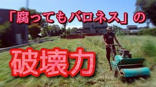 【自走式草刈機】バロネスを30分使って刈れる草の量。 [upl. by Ludwig596]