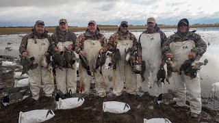 Hunting Pintails Mallards and Wigeon on a Greasy Sheet Water Hole [upl. by Hapte190]