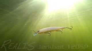 DUOs Lures in Motion 13 Realis Jerkbait 120SP [upl. by Nywles473]