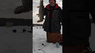 Fishing fishing minnesota fishinglife fisherman fishingtiktoks fishcontent fish mn [upl. by Guthrie]