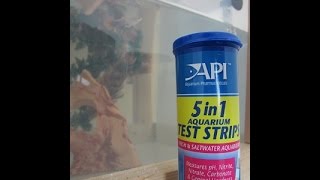 API 5in1 Test Strips [upl. by Nioe]