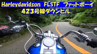 Harleydavidson峠ダウンヒル４２３号線 [upl. by Cathi]