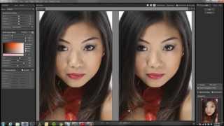 How to use Portraiture by Imagenomic [upl. by Renferd861]