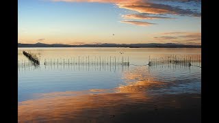 Places to see in  Valencia  Spain  Parque Natural de la Albufera [upl. by Amelita]