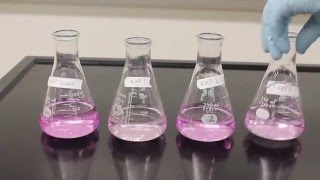 Titration Video [upl. by Mroz]