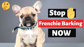 How to Stop French Bulldogs Excessive Barking  French Bulldog Training [upl. by Tai69]