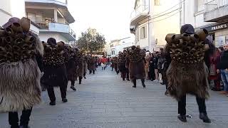 MAMOIADA  CARNEVALE 2022  ESIBIZIONE MAMUTHONES GRUPPO ATZENI  BECCOI [upl. by Hairim]