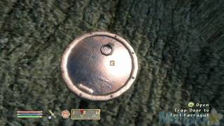 Elder Scrolls 4 Oblivion  Dark Brotherhood Walkthrough 11  Purification [upl. by Adnahsar]