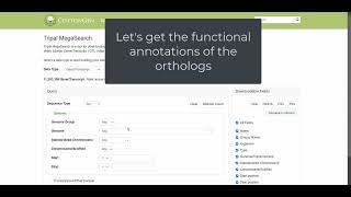 How to find orthologs and corresponding functional annotations [upl. by Beutner172]