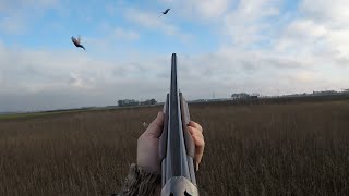 Jacht  Pheasant hunting with pointing dogs [upl. by Artep]