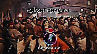 chikni chamelislowed amp reverBnocopyrightmusic viral video [upl. by Gonroff191]