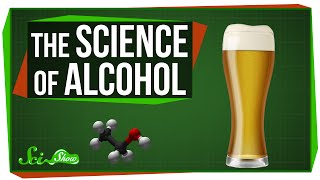 The Science of Alcohol From Beer to Bourbon [upl. by Taggart391]