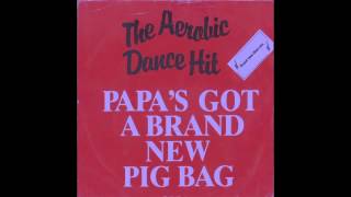 Pigbag Papas Got A Brand New Pigbag [upl. by Rodd]