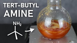 Making TertButylamine A Stinky Precursor to an Even Stinkier Isocyanide [upl. by Minoru341]