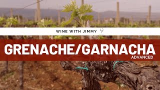 Grape Varieties GarnachaGrenacheCannonau Advanced Version for WSET L3 and 4 [upl. by Leta665]