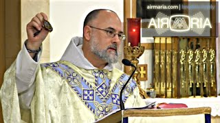 Brown Scapular  Precious Gift from Our Mother  Jul 16  Homily  Fr Alan [upl. by Frankhouse]