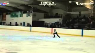 Stephen Gogolev FS  Skate Detroit 2015 [upl. by Annad970]