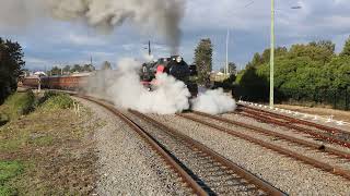 R766 on 9S91 at telarah on 6 7 24 the dungog picnic train [upl. by Pettiford]