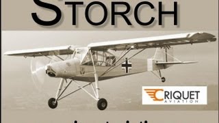 Storch Criquet Storch lightsport aircraft experimental amateurbuilt light sport aircraft [upl. by Lusa]