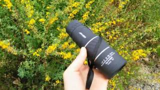 ARcheer Monocular Telescope Review [upl. by Oly]