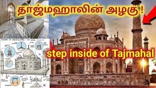 தாஜ்மஹாலின் அழகு l Inside view of Taj Mahal l Interior designs of Taj Mahal [upl. by Eellehs]