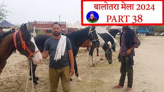 बिकाऊ घोड़े  पार्ट 38 Balotra Horse Market 2024 Tilwada Pashu Mela Horse Sale Price Video [upl. by Clive601]