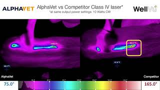 Laser Heat Comparison AlphaVet vs Companion [upl. by Annavaj778]