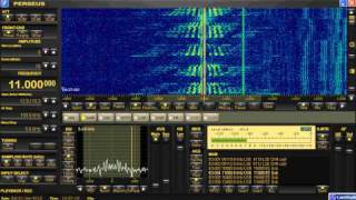 Numbers Station English EV01 January 21 2012 1436 UTC 11000 kHz AM Full Message [upl. by Plate]