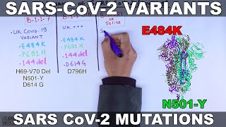 Variants of SARS CoV2  Mutations [upl. by Oznarol916]