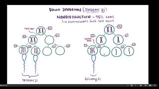 6D Chromosomal Aberrations [upl. by Hgielra]